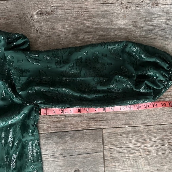 Mello Day Green Sheer Metallic Burnout Blouse Ruffle Mock Neck Long Sleeve Top - Picture 11 of 11